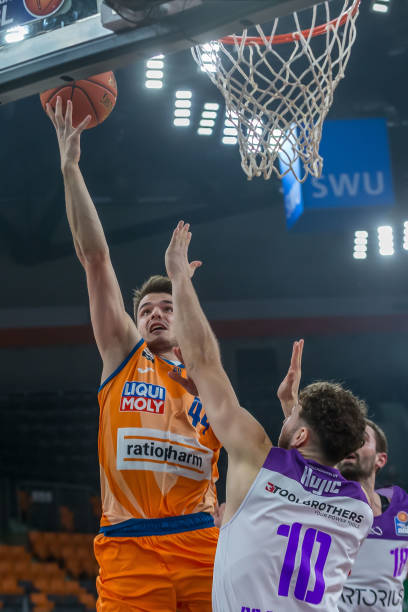 南的女子马 南的女子马