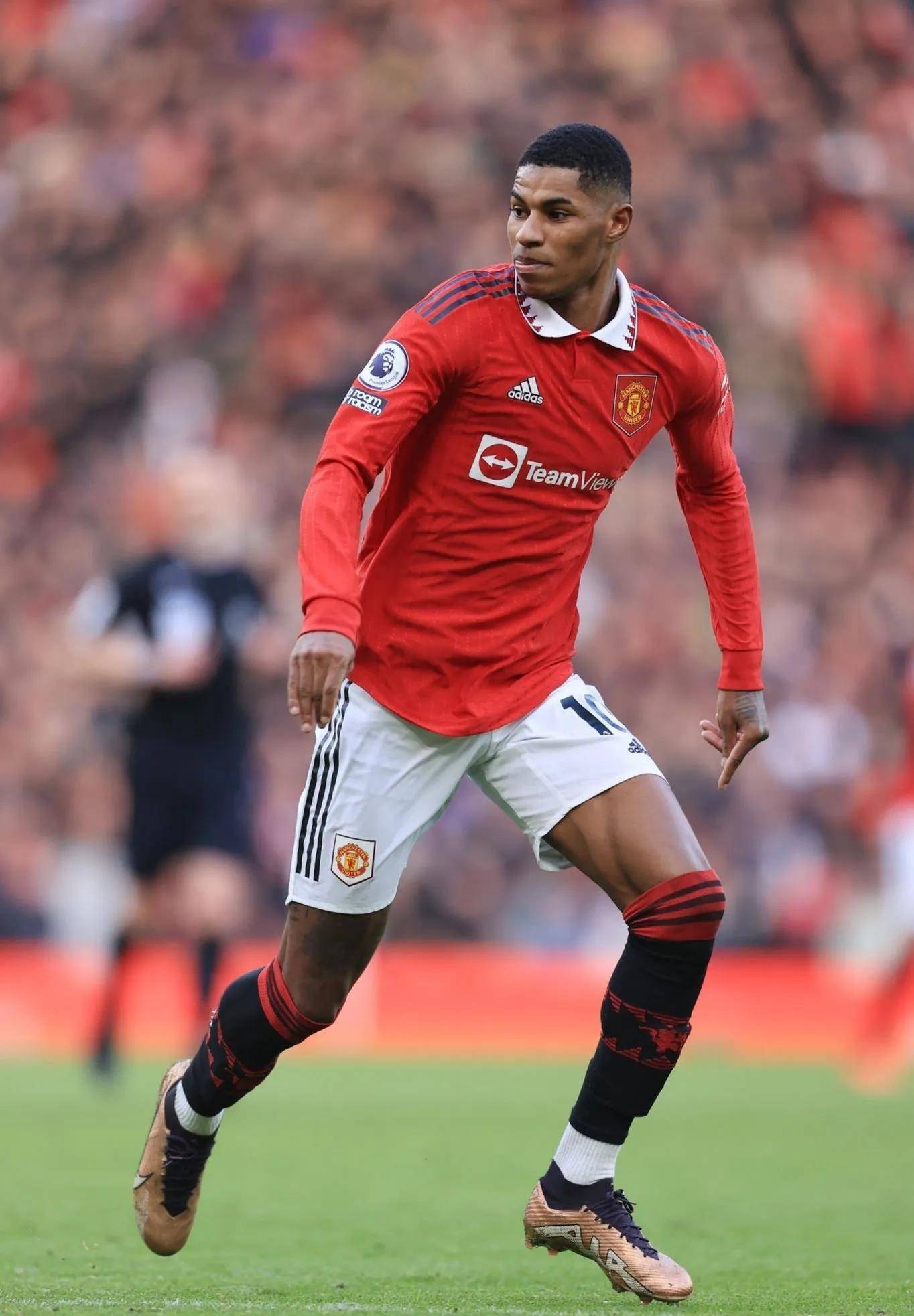 向哈德尔抛 向哈德尔抛