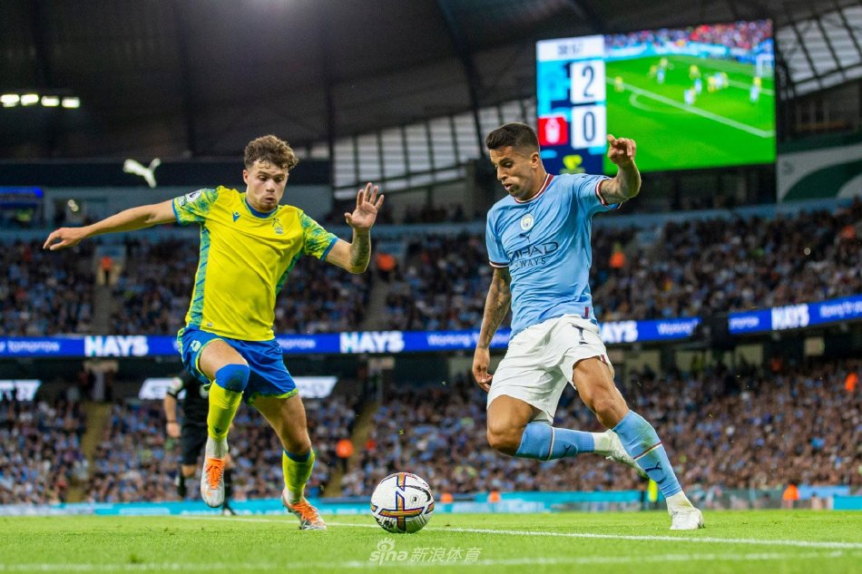 单场81分 单场81分